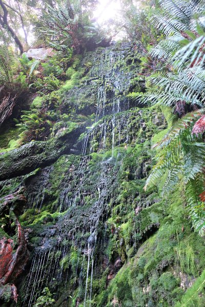 Cape Town's best short hikes