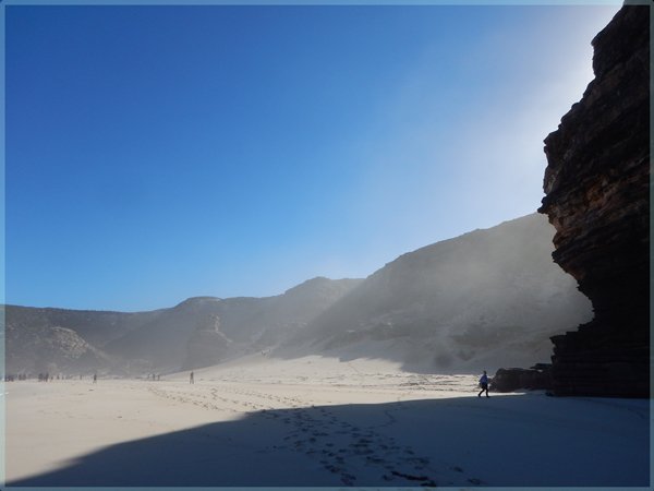 Hiking Diaz Beach near Cape Point with Cape Trekking