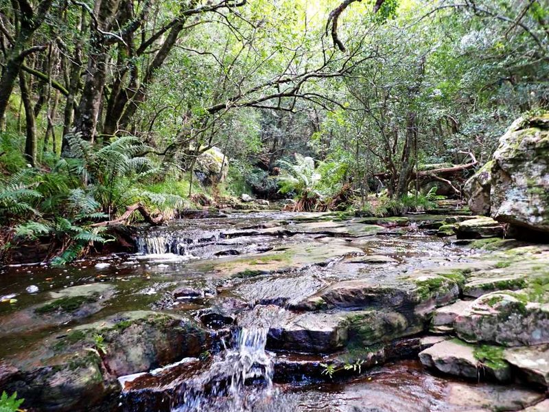 Hells Gate Table Mountain