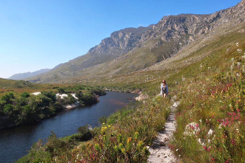 Kogelberg river walk