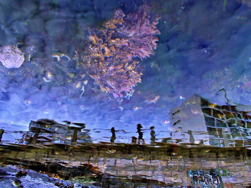 beacj road sea point reflections