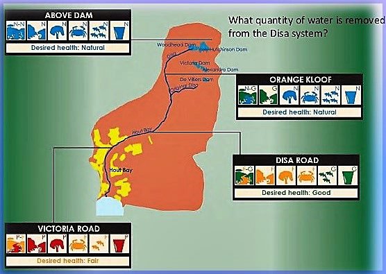Map showing tributaries of Table Mountain's Disa Stream