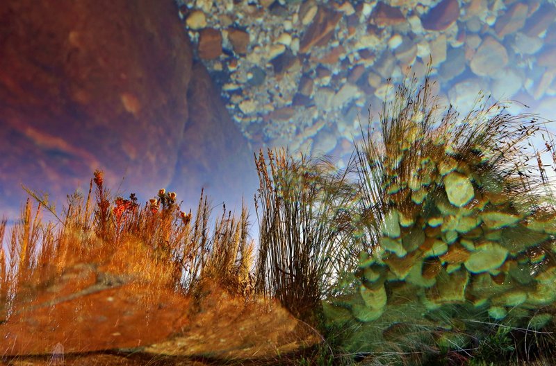 krom river water fynbos
