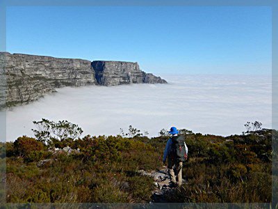 Hiker on Devil's peak above a sea of cloud, Table Mountain in the distance
