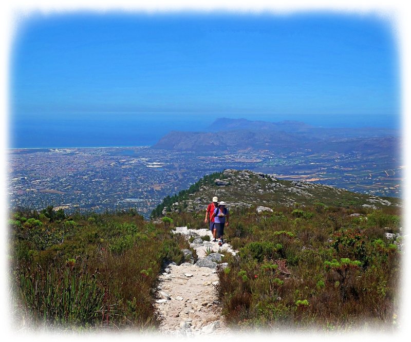 Silent hikes on cape town's table mountain